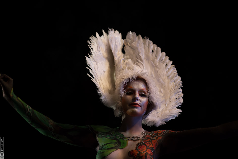 World Bodypaint Festival 2013